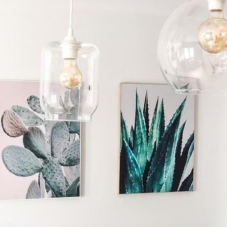 Los Cactus 1 Las Palmas de Gran Canaria Ngoại thất bức ảnh